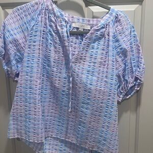 LOFT Striped Blue and Purple Blouse